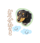 テミン君の日常(1)〜JPver.〜（個別スタンプ：5）