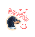 テミン君の日常(1)〜JPver.〜（個別スタンプ：6）