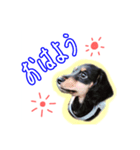 テミン君の日常(1)〜JPver.〜（個別スタンプ：8）