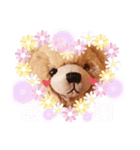 くまタロー（個別スタンプ：3）