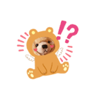 くまタロー（個別スタンプ：9）