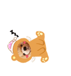 くまタロー（個別スタンプ：16）