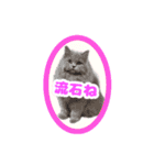 マカロンはんこの一言（個別スタンプ：15）