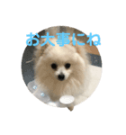 ルトのスタンプ2（個別スタンプ：2）