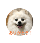 ルトのスタンプ2（個別スタンプ：4）