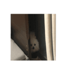 ルトのスタンプ2（個別スタンプ：7）