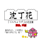 四季の花と花言葉でありがとうの交信（個別スタンプ：8）