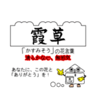 四季の花と花言葉でありがとうの交信（個別スタンプ：13）