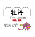 四季の花と花言葉でありがとうの交信（個別スタンプ：20）