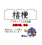 四季の花と花言葉でありがとうの交信（個別スタンプ：31）