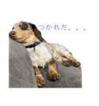おにぱんとゆかいななかまたち（個別スタンプ：7）