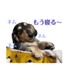 おにぱんとゆかいななかまたち（個別スタンプ：8）