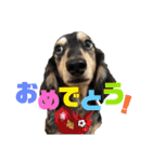 おにぱんとゆかいななかまたち（個別スタンプ：9）