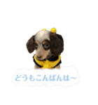 おにぱんとゆかいななかまたち（個別スタンプ：14）