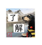 おにぱんとゆかいななかまたち（個別スタンプ：15）