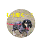 おにぱんとゆかいななかまたち（個別スタンプ：17）