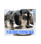 おにぱんとゆかいななかまたち（個別スタンプ：18）