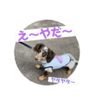 おにぱんとゆかいななかまたち（個別スタンプ：27）