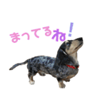 おにぱんとゆかいななかまたち（個別スタンプ：30）