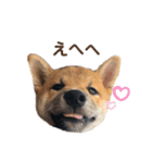 こちゃ❤️❤️（個別スタンプ：4）