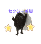 ハイ！ナイスですネ〜（個別スタンプ：1）