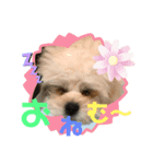 ハイ！ナイスですネ〜（個別スタンプ：2）
