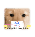 ハイ！ナイスですネ〜（個別スタンプ：5）