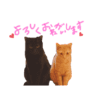うにくらほた❤︎（個別スタンプ：12）