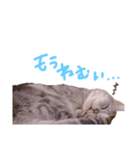 うにくらほた❤︎（個別スタンプ：13）