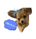 もかんず（個別スタンプ：1）