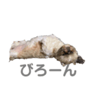 もかんず（個別スタンプ：3）