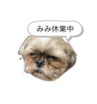 もかんず（個別スタンプ：8）