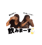 MattFamily（個別スタンプ：20）
