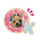私はポロン（個別スタンプ：9）