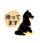 柴犬クゥのデカ文字スタンプ（個別スタンプ：2）