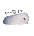 kimagure__（個別スタンプ：16）