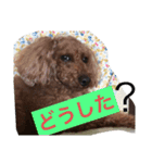 トマト＆たくやくんでーす！（個別スタンプ：9）