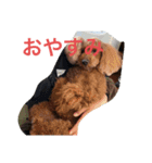 トマト＆たくやくんでーす！（個別スタンプ：17）