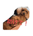トマト＆たくやくんでーす！（個別スタンプ：18）