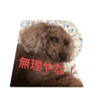 トマト＆たくやくんでーす！（個別スタンプ：23）