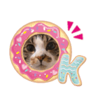 ノアCATスタンプ（個別スタンプ：4）