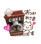 ノアCATスタンプ（個別スタンプ：5）
