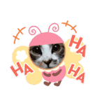 ノアCATスタンプ（個別スタンプ：24）
