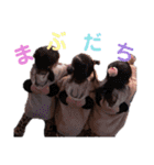 我が子スタンプ息子と娘（個別スタンプ：13）