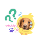 らっぴー2（個別スタンプ：6）