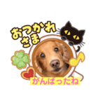 らっぴー2（個別スタンプ：10）
