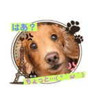 らっぴー2（個別スタンプ：13）