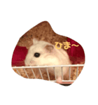 ウチのこまめ（個別スタンプ：5）