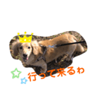 えースタ（個別スタンプ：3）