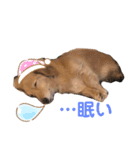 えースタ（個別スタンプ：5）